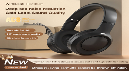 프로페셔널 블랙 이어폰