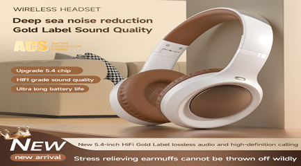 빈티지 브라운 이어폰